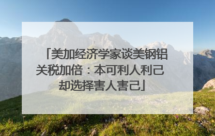 美加经济学家谈美钢铝关税加倍：本可利人利己 却选择害人害己