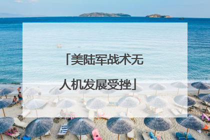 美陆军战术无人机发展受挫