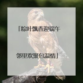 粽叶飘香迎端午 邻里欢聚包温情