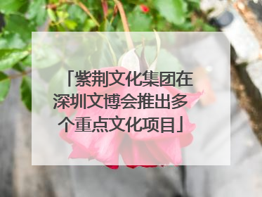 紫荆文化集团在深圳文博会推出多个重点文化项目