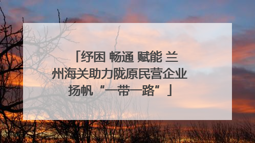 纾困 畅通 赋能 兰州海关助力陇原民营企业扬帆“一带一路”