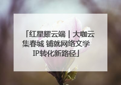 红星耀云端｜大咖云集春城 铺就网络文学IP转化新路径