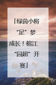 绿茵小将 “足”梦成长！榕江“园超”开赛