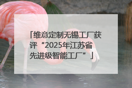 维意定制无锡工厂获评“2025年江苏省先进级智能工厂”