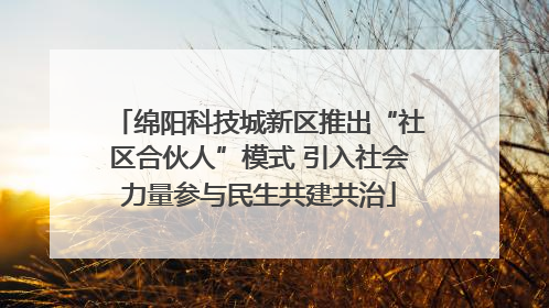 绵阳科技城新区推出“社区合伙人”模式 引入社会力量参与民生共建共治