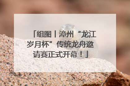 组图丨漳州“龙江岁月杯”传统龙舟邀请赛正式开幕！
