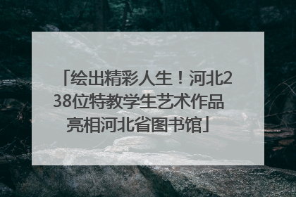 绘出精彩人生！河北238位特教学生艺术作品亮相河北省图书馆