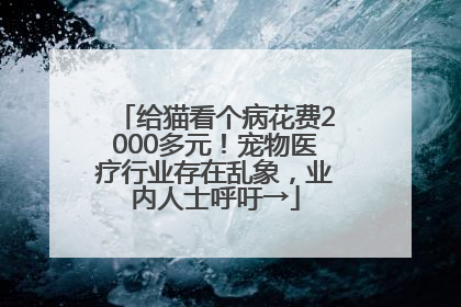 给猫看个病花费2000多元！宠物医疗行业存在乱象，业内人士呼吁→