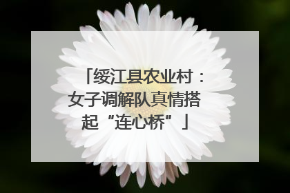 绥江县农业村：女子调解队真情搭起“连心桥”