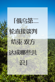 俄乌第二轮直接谈判结束 双方达成哪些共识