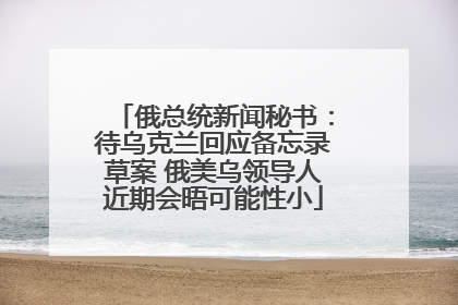 俄总统新闻秘书：待乌克兰回应备忘录草案 俄美乌领导人近期会晤可能性小