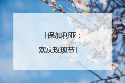 保加利亚：欢庆玫瑰节