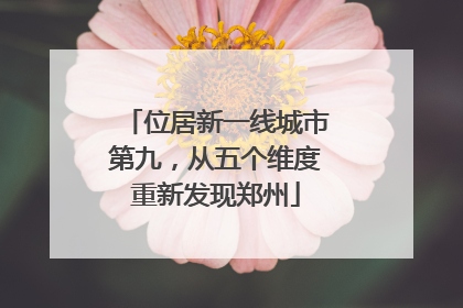 位居新一线城市第九，从五个维度重新发现郑州