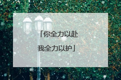 你全力以赴 我全力以护