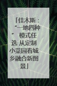 佳木斯：“一地四种” 模式任选 从定制小菜园看城乡融合新图景