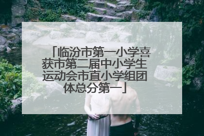 临汾市第一小学喜获市第二届中小学生运动会市直小学组团体总分第一