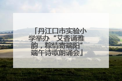 丹江口市实验小学举办“艾香诵雅韵，粽情寄端阳”端午诗歌朗诵会