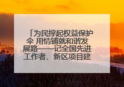 为民撑起权益保护伞 用情铺就和谐发展路——记全国先进工作者、新区项目建设中心干部卢小勇