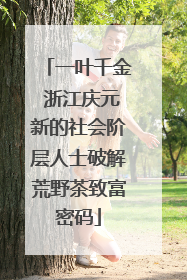 一叶千金 浙江庆元新的社会阶层人士破解荒野茶致富密码