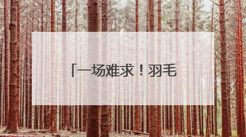 一场难求！羽毛球为何成济南“全民健身顶流”