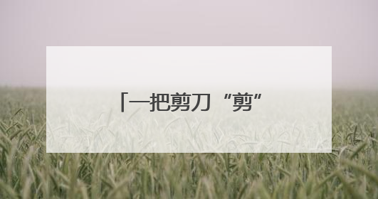 一把剪刀“剪”出人间大爱——记全国文明家庭常凤灵、徐长国家庭