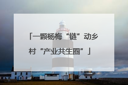 一颗杨梅“链”动乡村“产业共生圈”