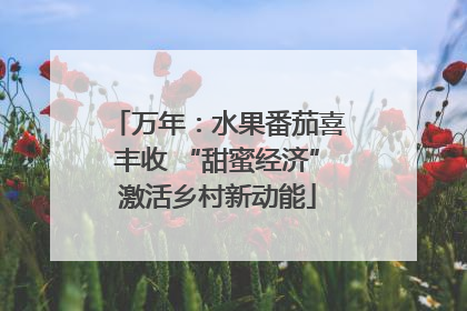 万年：水果番茄喜丰收 “甜蜜经济”激活乡村新动能