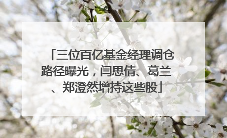 三位百亿基金经理调仓路径曝光，闫思倩、葛兰、郑澄然增持这些股
