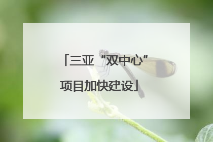 三亚“双中心”项目加快建设