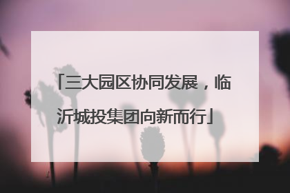 三大园区协同发展，临沂城投集团向新而行