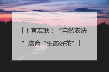 上官宏耿：“自然农法”培育“生态好茶”