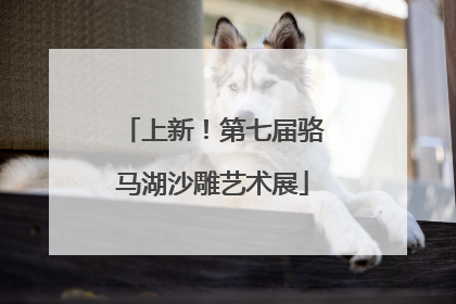上新！第七届骆马湖沙雕艺术展