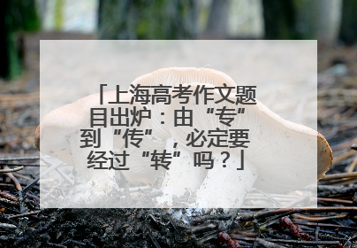 上海高考作文题目出炉:由“专”到“传”,必定要经过“转”吗?