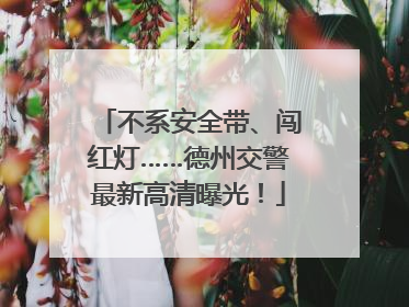 不系安全带、闯红灯……德州交警最新高清曝光！