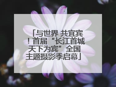与世界 共宜宾！首届“长江首城 天下为宾”全国主题摄影季启幕