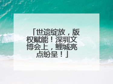 世遗绽放，版权赋能！深圳文博会上，鲤城亮点纷呈！