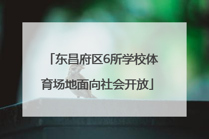 东昌府区6所学校体育场地面向社会开放