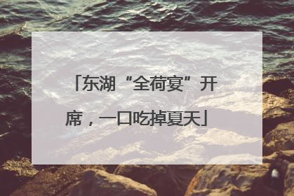 东湖“全荷宴”开席，一口吃掉夏天