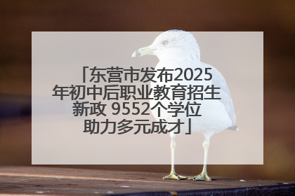 东营市发布2025年初中后职业教育招生新政 9552个学位助力多元成才