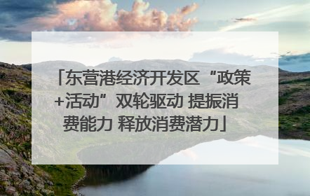 东营港经济开发区“政策+活动”双轮驱动 提振消费能力 释放消费潜力
