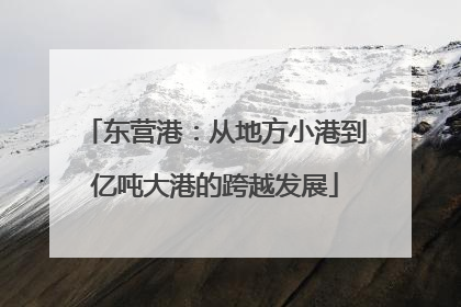 东营港：从地方小港到亿吨大港的跨越发展