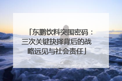 东鹏饮料突围密码：三次关键抉择背后的战略远见与社会责任