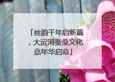 丝韵千年启新篇，大运河蚕桑文化嘉年华启幕