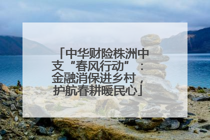 中华财险株洲中支“春风行动”：金融消保进乡村，护航春耕暖民心