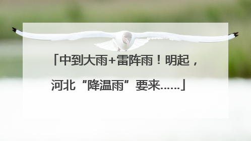 中到大雨+雷阵雨！明起，河北“降温雨”要来……