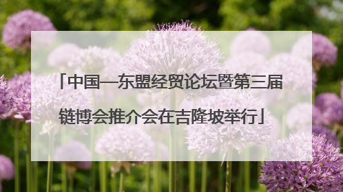 中国—东盟经贸论坛暨第三届链博会推介会在吉隆坡举行