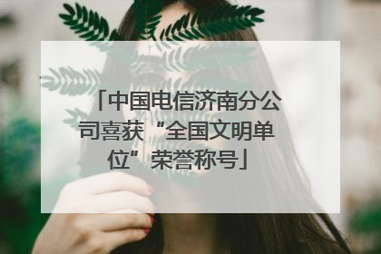 中国电信济南分公司喜获“全国文明单位”荣誉称号