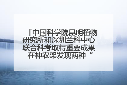 中国科学院昆明植物研究所和深圳兰科中心联合科考取得重要成果 在神农架发现两种“国保”级兰花