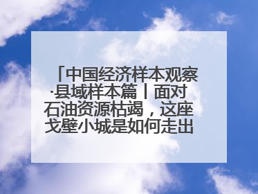 中国经济样本观察·县域样本篇丨面对石油资源枯竭，这座戈壁小城是如何走出困境的？