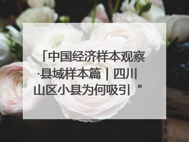中国经济样本观察·县域样本篇｜四川山区小县为何吸引“村播”扎堆？
